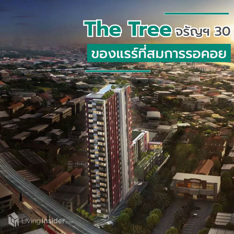 The Tree จรัญฯ 30 ทับทิมสยามแห่งจรัญสนิทวงศ์ ของ Rare ที่สมกับการรอคอย The Tree จรัญฯ 30 ทับทิมสยามแห่งจรัญสนิทวงศ์ ของ Rare ที่สมกับการรอคอย