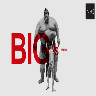 Big vs Small : เปรียบเทียบโครงการรายใหญ่กับรายย่อย Big vs Small : เปรียบเทียบโครงการรายใหญ่กับรายย่อย