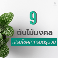 9 ต้นไม้มงคล เสริมโชคลาภรับตรุษจีน
