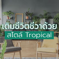 เติมชีวิตชีวาด้วยการตกแต่งสไตล์ Tropical เติมชีวิตชีวาด้วยการตกแต่งสไตล์ Tropical