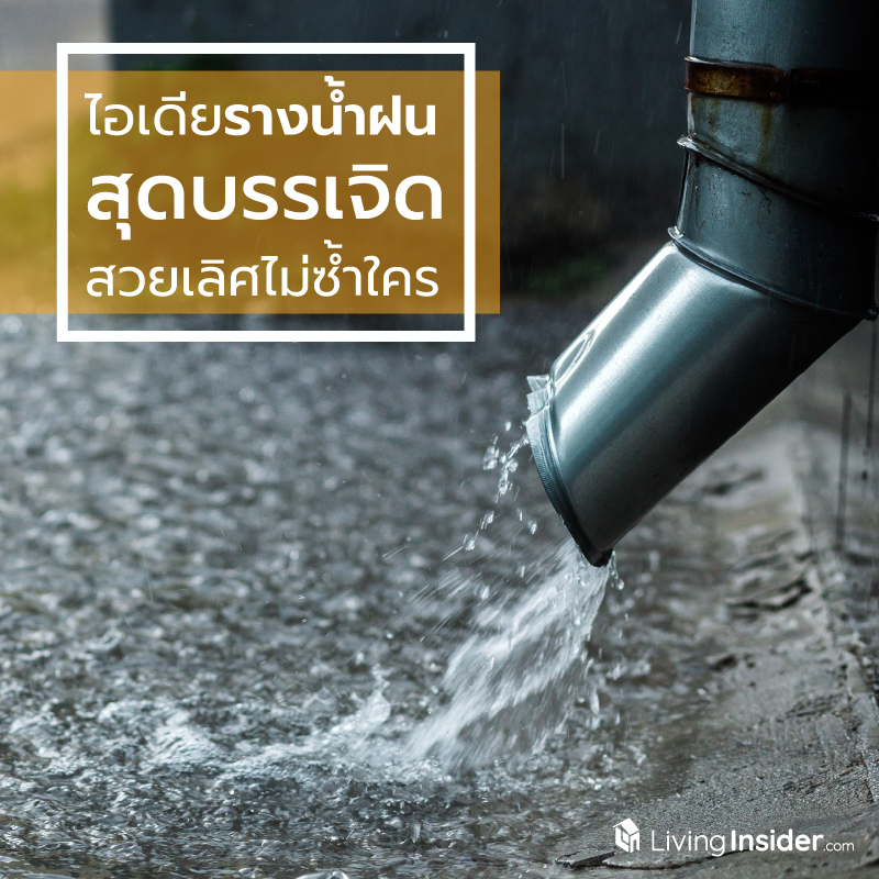 ไอเดียรางน้ำฝน สุดบรรเจิด สวยเลิศไม่ซ้ำใคร ไอเดียรางน้ำฝน สุดบรรเจิด สวยเลิศไม่ซ้ำใคร