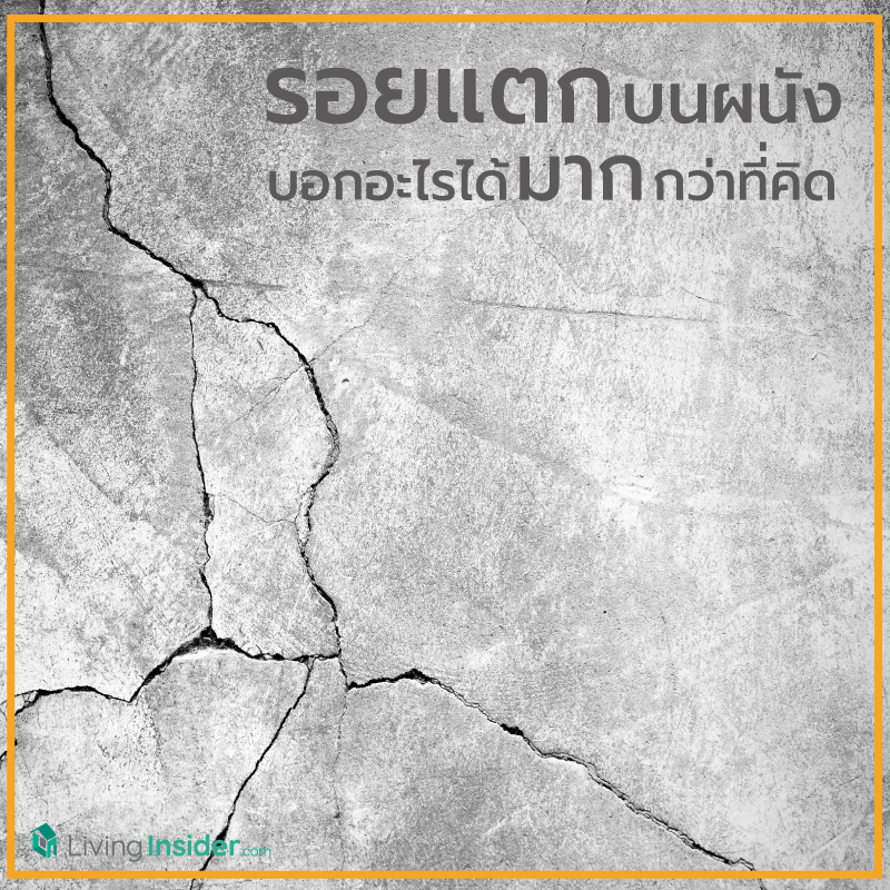 รอยร้าวบนผนัง บอกอะไรได้มากกว่าที่คิด รอยร้าวบนผนัง บอกอะไรได้มากกว่าที่คิด