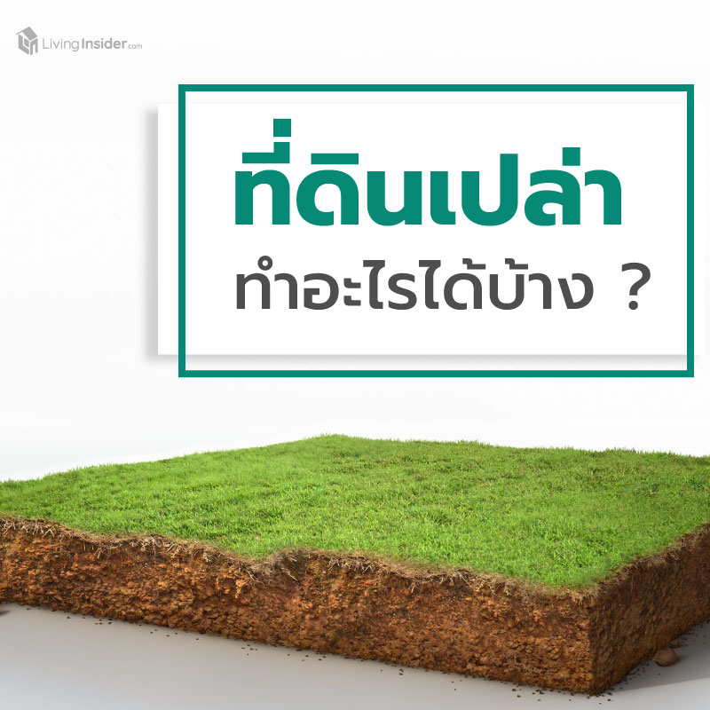 มีที่ดินเปล่า ทำอะไรได้บ้าง? มีที่ดินเปล่า ทำอะไรได้บ้าง?