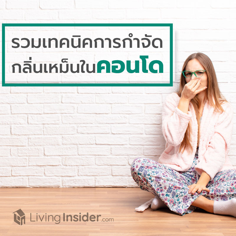 รวมวิธีกำจัดกลิ่นเหม็นในคอนโดฯ รวมวิธีกำจัดกลิ่นเหม็นในคอนโดฯ