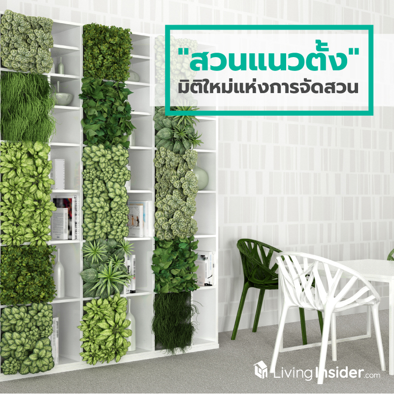 "สวนแนวตั้ง" มิติใหม่แห่งการจัดสวน "สวนแนวตั้ง" มิติใหม่แห่งการจัดสวน
