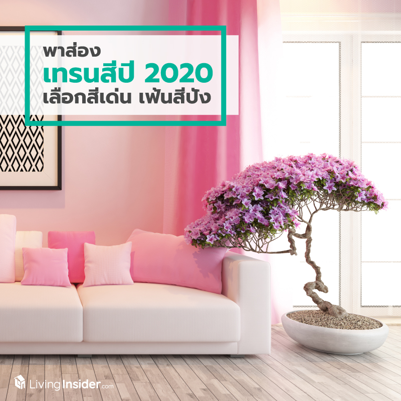 พาส่องเทรนสีแห่งปี 2020 เลือกสีเด่น เฟ้นสีปัง พาส่องเทรนสีแห่งปี 2020 เลือกสีเด่น เฟ้นสีปัง