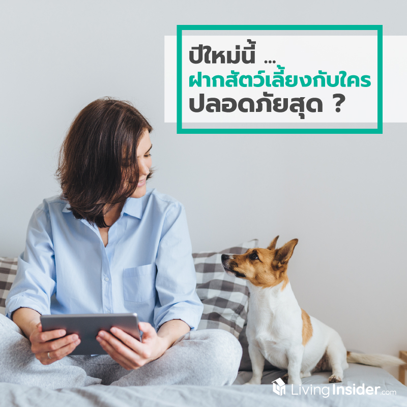 ปีใหม่นี้ ฝากสัตว์เลี้ยงกับใคร ปลอดภัยสุด ?