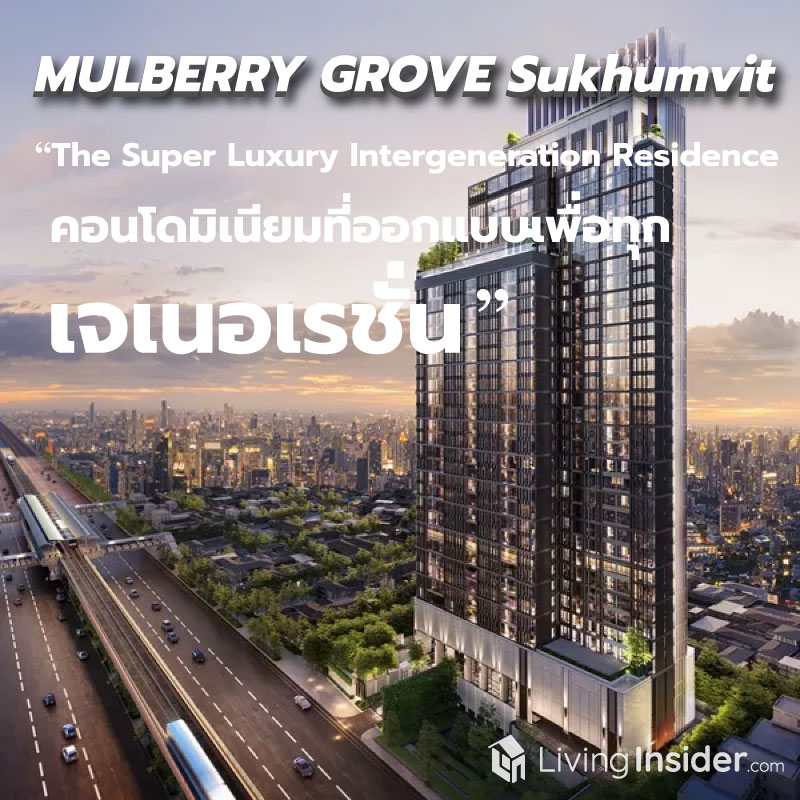 MULBERRY GROVE Sukhumvit - The Super Luxury Intergeneration Residence คอนโดมิเนียมที่ออกแบบเพื่อทุกเจเนอเรชั่น MULBERRY GROVE Sukhumvit - The Super Luxury Intergeneration Residence คอนโดมิเนียมที่ออกแบบเพื่อทุกเจเนอเรชั่น