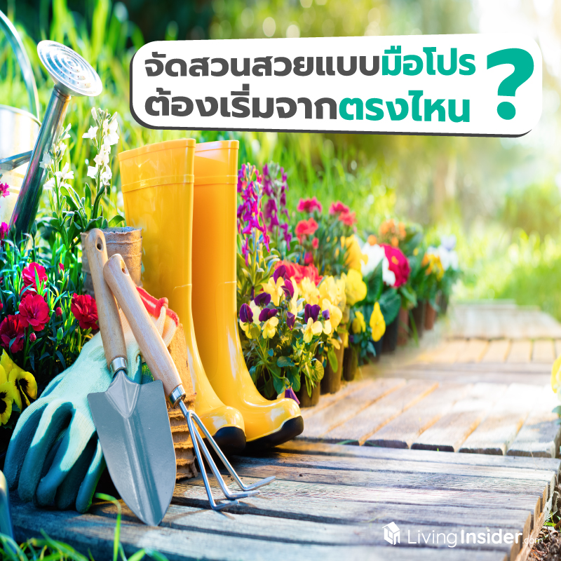 จัดสวนสวยแบบมือโปร ต้องเริ่มจากตรงไหน ? จัดสวนสวยแบบมือโปร ต้องเริ่มจากตรงไหน ?