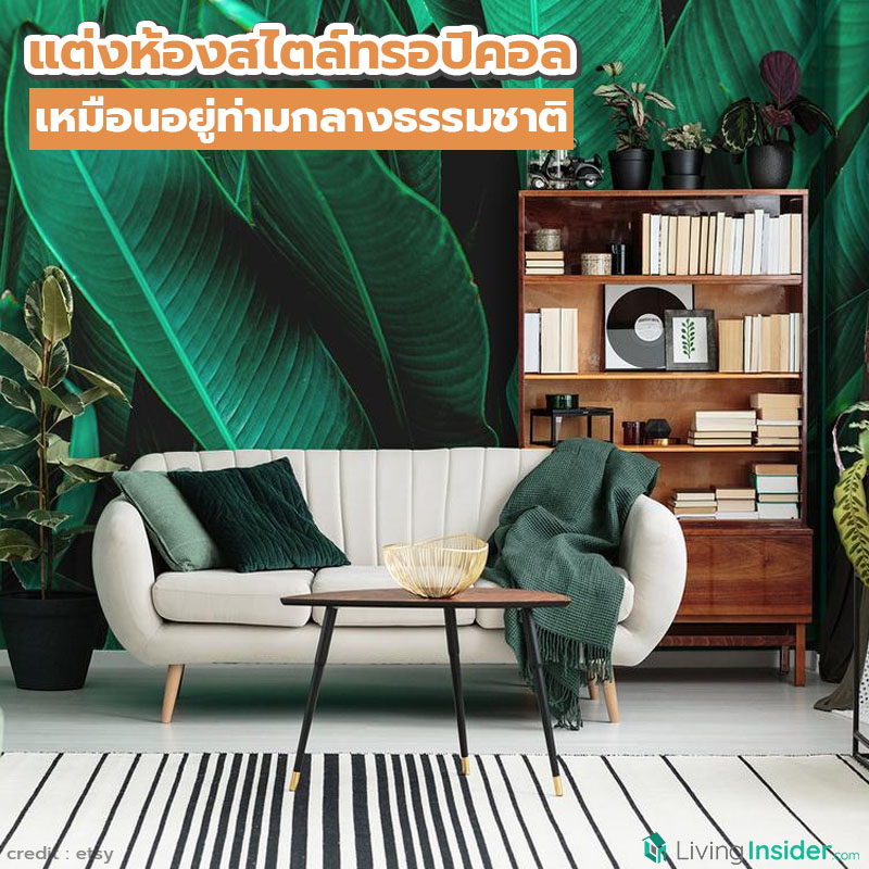 แต่งห้องสไตล์ทรอปิคอล เหมือนอยู่ท่ามกลางธรรมชาติ แต่งห้องสไตล์ทรอปิคอล เหมือนอยู่ท่ามกลางธรรมชาติ