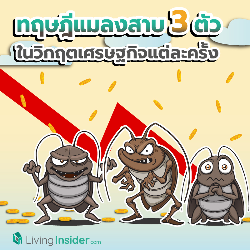 ทฤษฎีแมลงสาบ 3 ตัว ในวิกฤตเศรษฐกิจแต่ละครั้ง ทฤษฎีแมลงสาบ 3 ตัว ในวิกฤตเศรษฐกิจแต่ละครั้ง