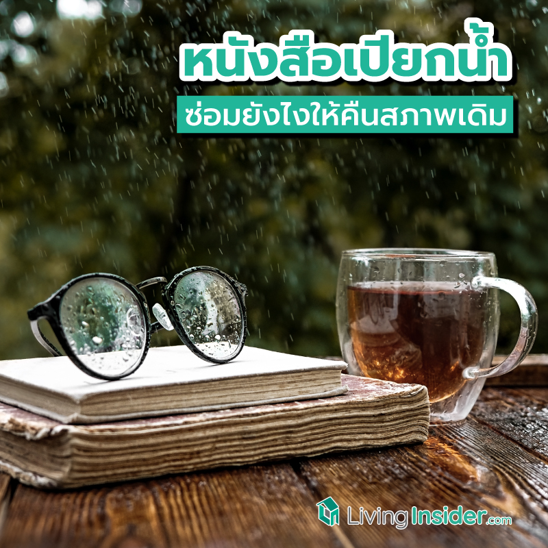 หนังสือเปียกน้ำ ซ่อมยังไงให้คืนสภาพเดิม ? รวมวิธีแก้ปัญหาหนังสือเปียกให้กลับมาเรียบสวยเหมือนเก่า หนังสือเปียกน้ำ ซ่อมยังไงให้คืนสภาพเดิม ? รวมวิธีแก้ปัญหาหนังสือเปียกให้กลับมาเรียบสวยเหมือนเก่า