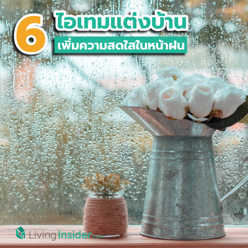 6 ไอเทมแต่งบ้านที่ขาดไม่ได้ เพิ่มความสดใสในหน้าฝน 6 ไอเทมแต่งบ้านที่ขาดไม่ได้ เพิ่มความสดใสในหน้าฝน