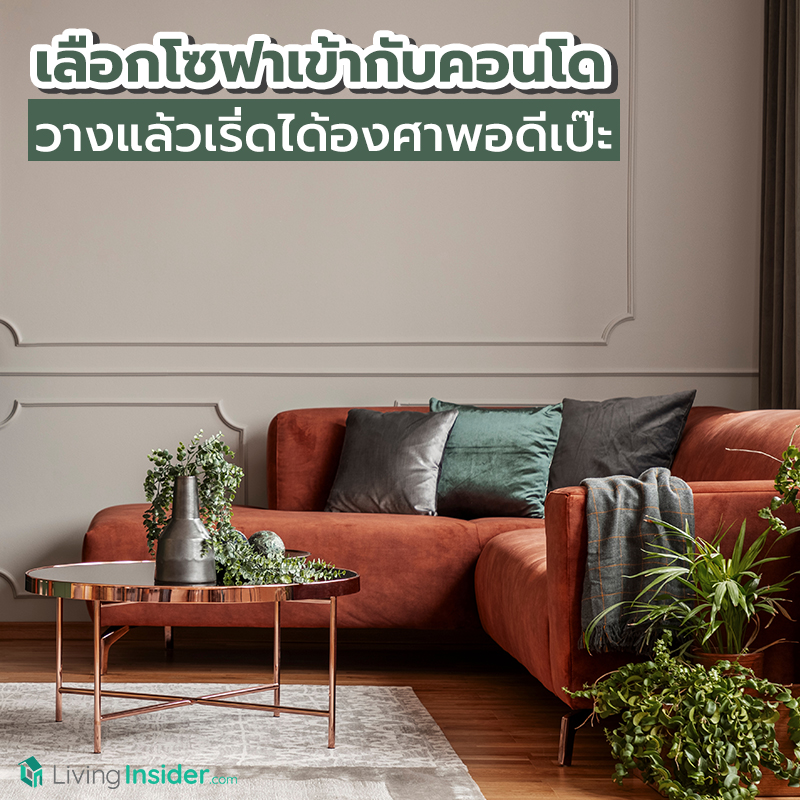 เลือกโซฟาให้เข้ากับคอนโด วางแล้วเริ่ดได้องศาพอดีเป๊ะ เลือกโซฟาให้เข้ากับคอนโด วางแล้วเริ่ดได้องศาพอดีเป๊ะ