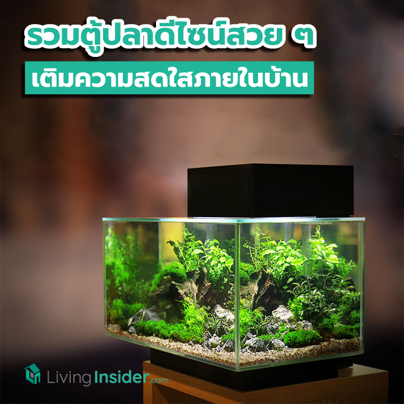 รวมตู้ปลาดีไซน์สวย ๆ เติมความสดใสภายในบ้าน รวมตู้ปลาดีไซน์สวย ๆ เติมความสดใสภายในบ้าน