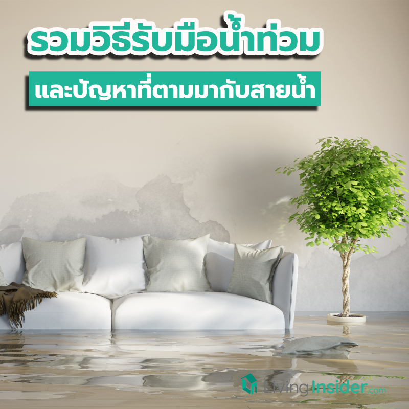 รวมวิธีรับมือน้ำท่วม และปัญหาที่ตามมาพร้อมสายน้ำ รวมวิธีรับมือน้ำท่วม และปัญหาที่ตามมาพร้อมสายน้ำ