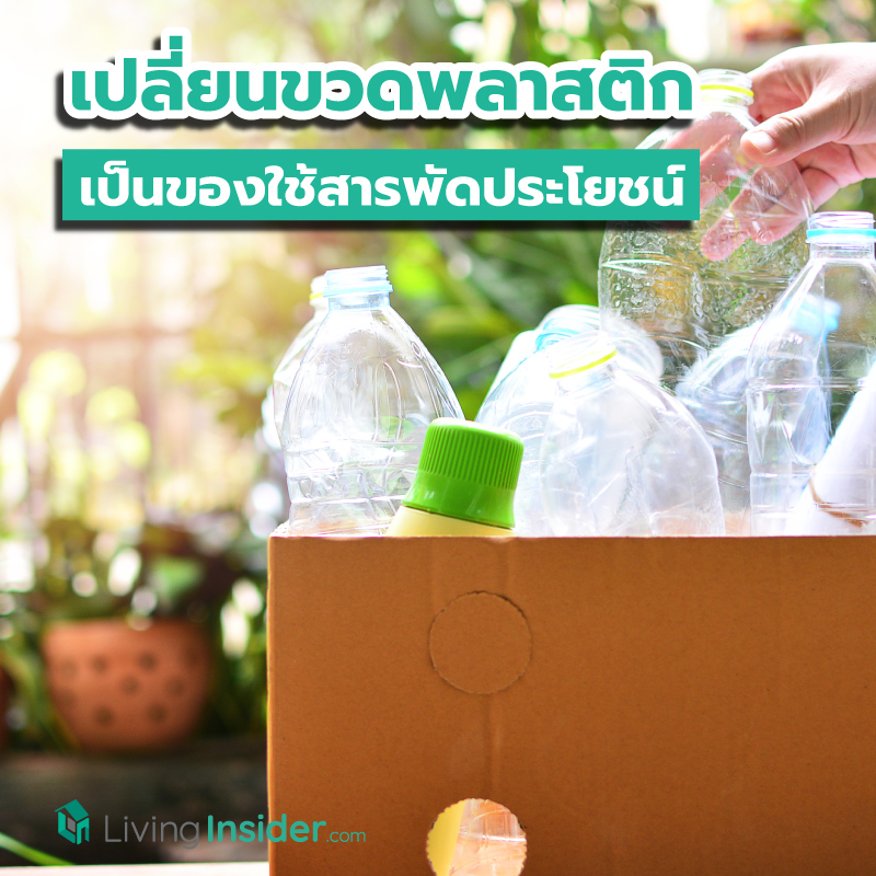 ไอเดียแปลงร่างขวดพลาสติก ให้เป็นของใช้สารพัดประโยชน์ ไอเดียแปลงร่างขวดพลาสติก ให้เป็นของใช้สารพัดประโยชน์