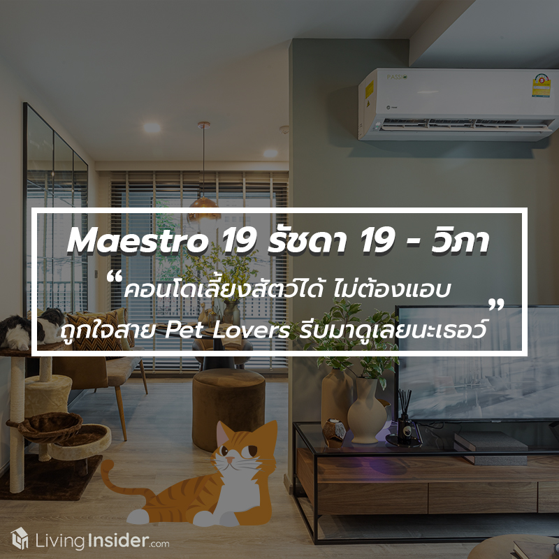 Maestro 19 รัชดา 19 - วิภา - คอนโดเลี้ยงสัตว์ได้ ไม่ต้องแอบ ถูกใจสาย Pet Lovers รีบมาดูเลยนะเธอว์ Maestro 19 รัชดา 19 - วิภา - คอนโดเลี้ยงสัตว์ได้ ไม่ต้องแอบ ถูกใจสาย Pet Lovers รีบมาดูเลยนะเธอว์