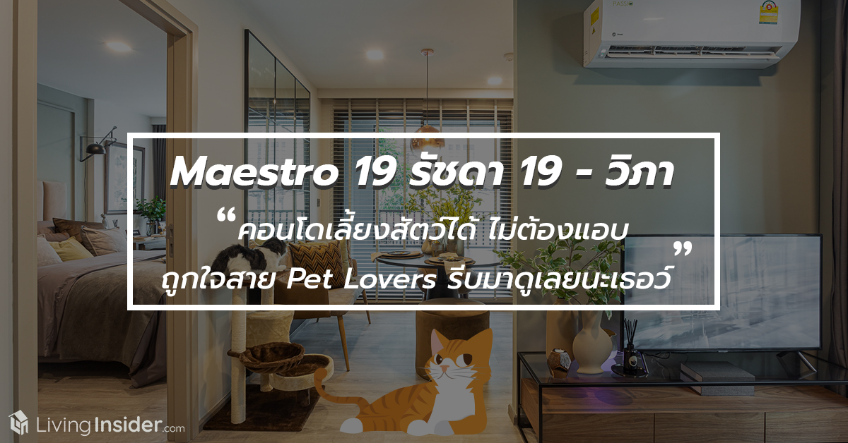 Maestro 19 รัชดา 19 - วิภา - คอนโดเลี้ยงสัตว์ได้ ไม่ต้องแอบ ถูกใจสาย Pet Lovers รีบมาดูเลยนะเธอว์