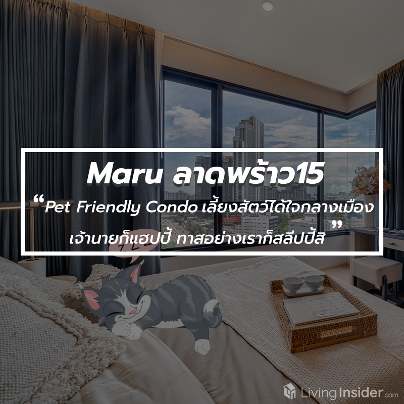 Maru ลาดพร้าว15 - Pet Friendly Condo คอนโดเลี้ยงสัตว์ได้ ใจกลางเมือง เจ้านายก็แฮปปี้ ทาสอย่างเราก็สลีปปี้สิ Maru ลาดพร้าว15 - Pet Friendly Condo คอนโดเลี้ยงสัตว์ได้ ใจกลางเมือง เจ้านายก็แฮปปี้ ทาสอย่างเราก็สลีปปี้สิ