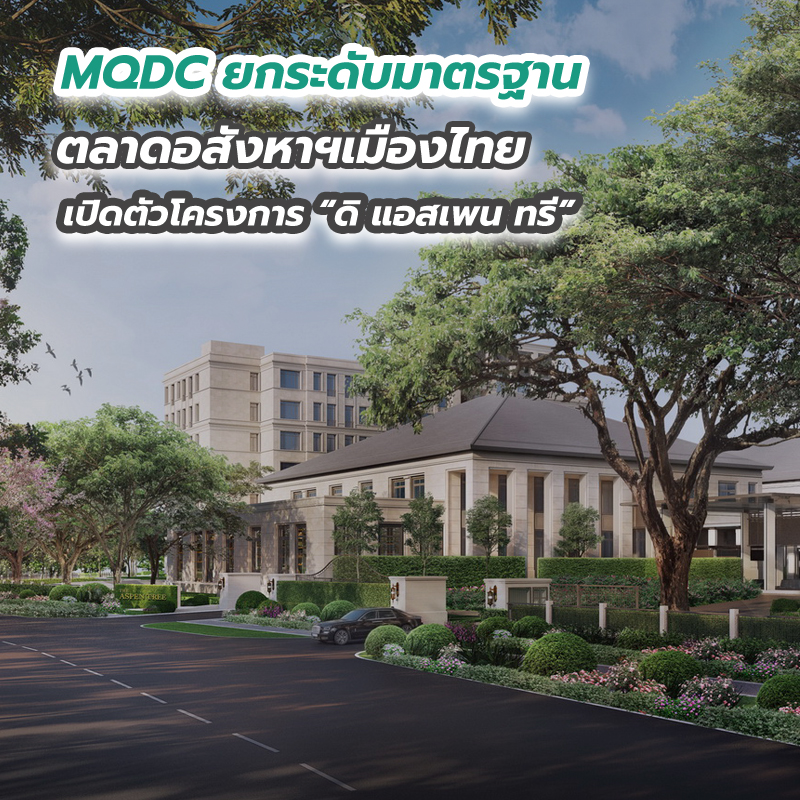 MQDC ยกระดับมาตรฐานตลาดอสังหาฯเมืองไทย เปิดตัวโครงการ “ดิ แอสเพน ทรี” MQDC ยกระดับมาตรฐานตลาดอสังหาฯเมืองไทย เปิดตัวโครงการ “ดิ แอสเพน ทรี”