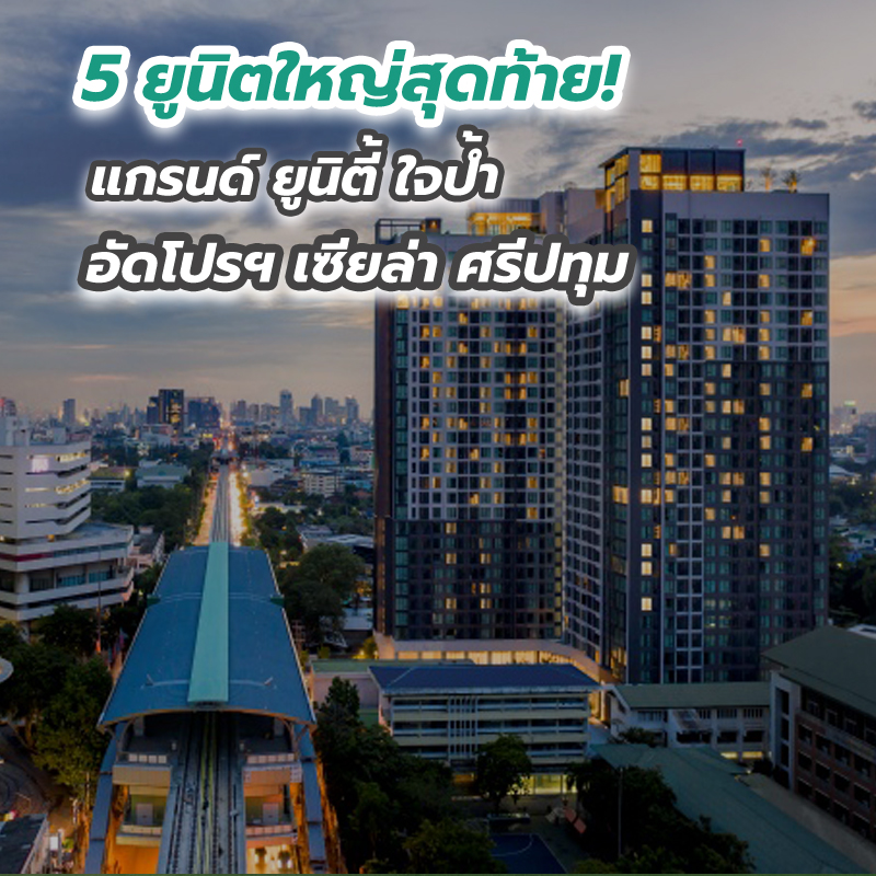 5 ยูนิตใหญ่สุดท้าย! แกรนด์ ยูนิตี้ ใจป้ำอัดโปรฯ เซียล่า ศรีปทุม 5 ยูนิตใหญ่สุดท้าย! แกรนด์ ยูนิตี้ ใจป้ำอัดโปรฯ เซียล่า ศรีปทุม
