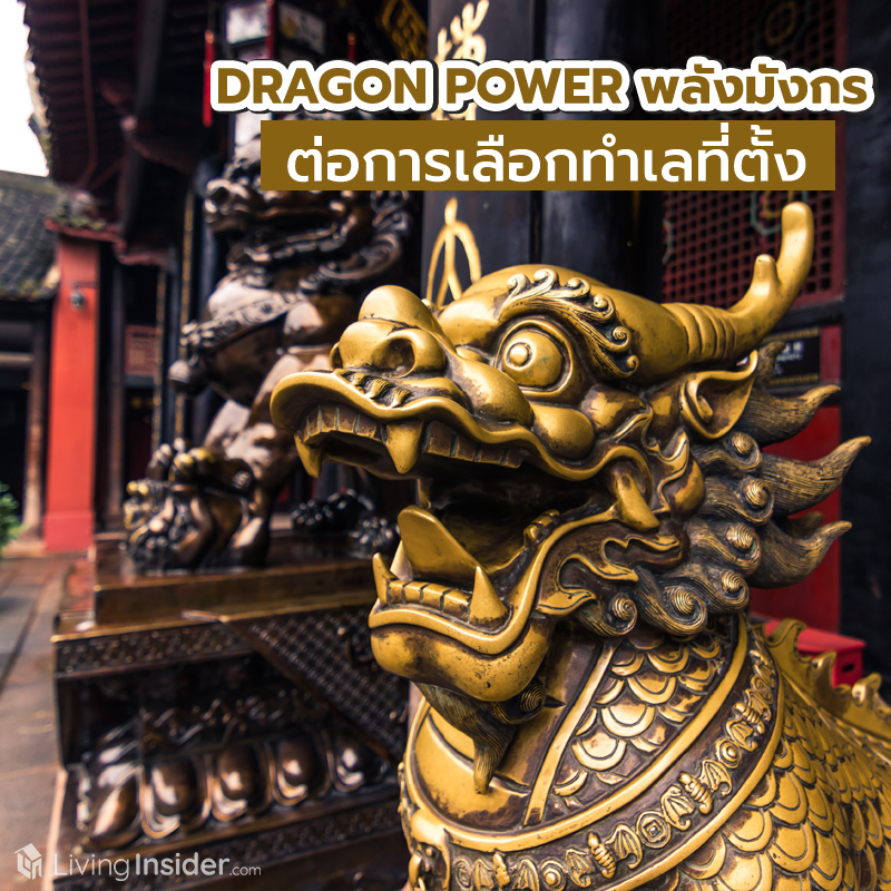 DRAGON POWER พลังแห่งมังกรต่อการเลือกทำเลที่ตั้ง DRAGON POWER พลังแห่งมังกรต่อการเลือกทำเลที่ตั้ง