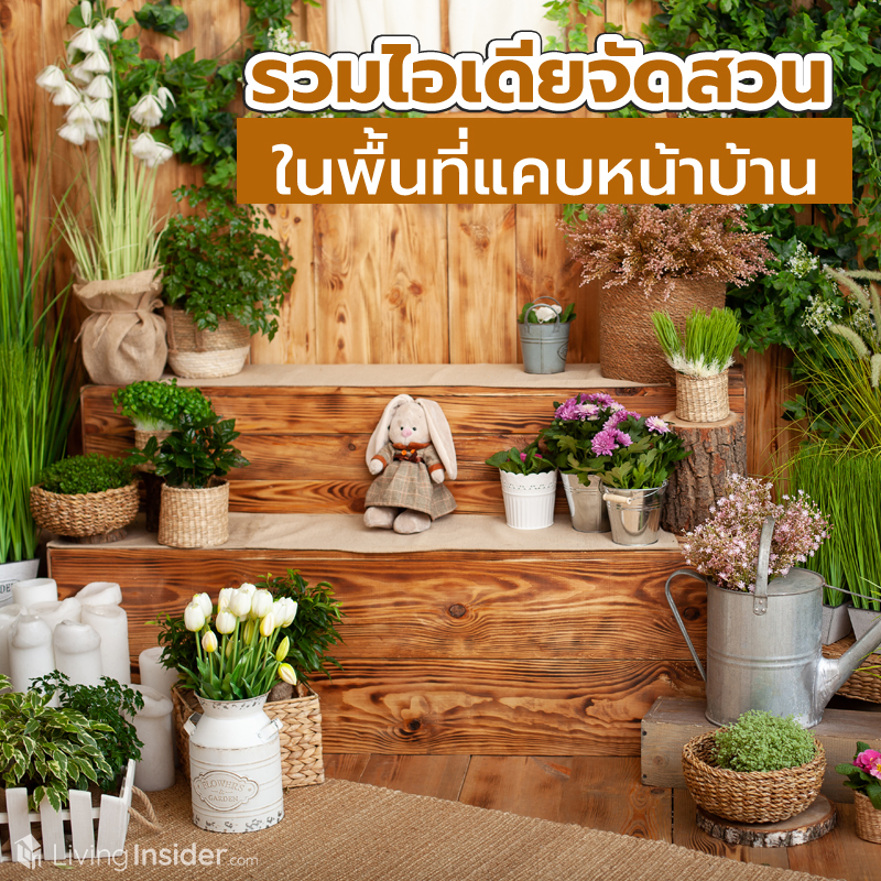 รวมไอเดียจัดสวน ในพื้นที่แคบหน้าบ้าน รวมไอเดียจัดสวน ในพื้นที่แคบหน้าบ้าน