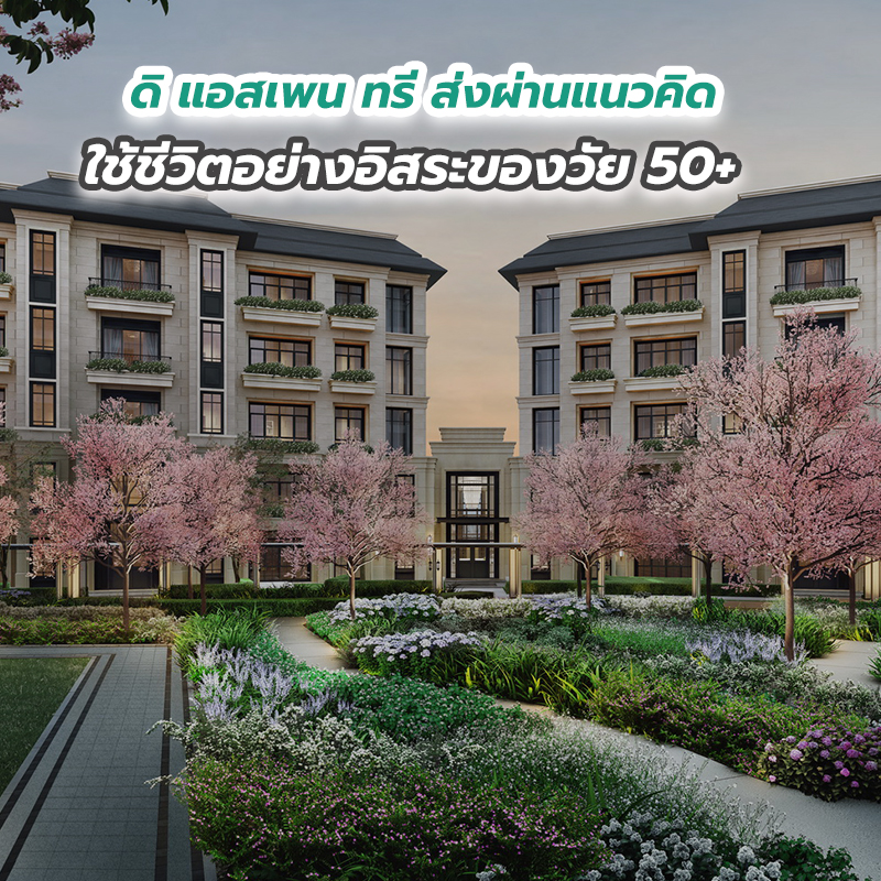 ดิ แอสเพน ทรี ส่งผ่านแนวคิดใช้ชีวิตอย่างอิสระของวัย 50 ดิ แอสเพน ทรี ส่งผ่านแนวคิดใช้ชีวิตอย่างอิสระของวัย 50