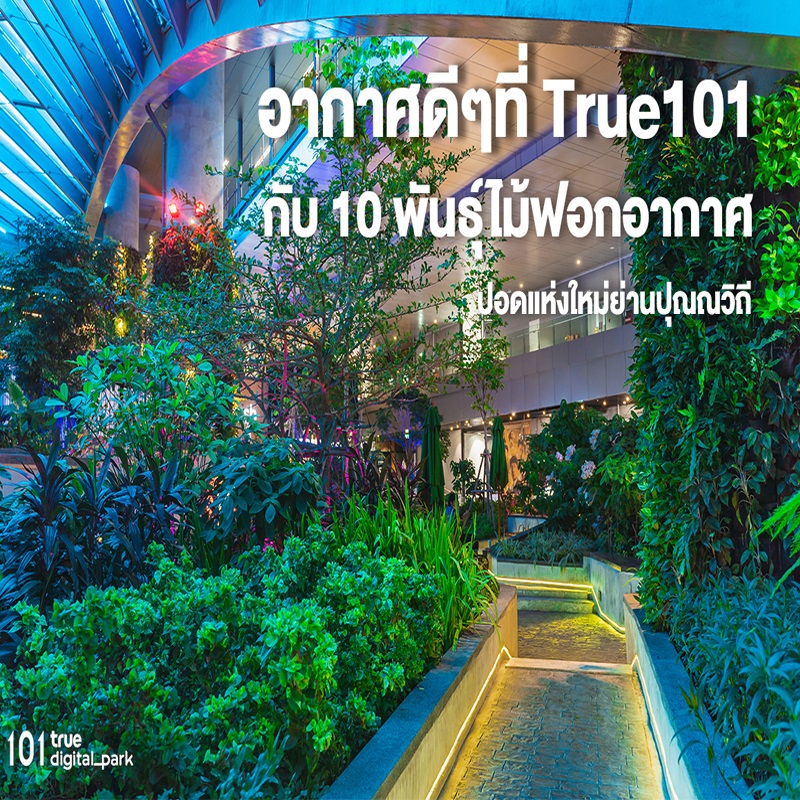 101 True Digital Park ตั้งการ์ดเข้มสู้โควิดรอบใหม่ 101 True Digital Park ตั้งการ์ดเข้มสู้โควิดรอบใหม่