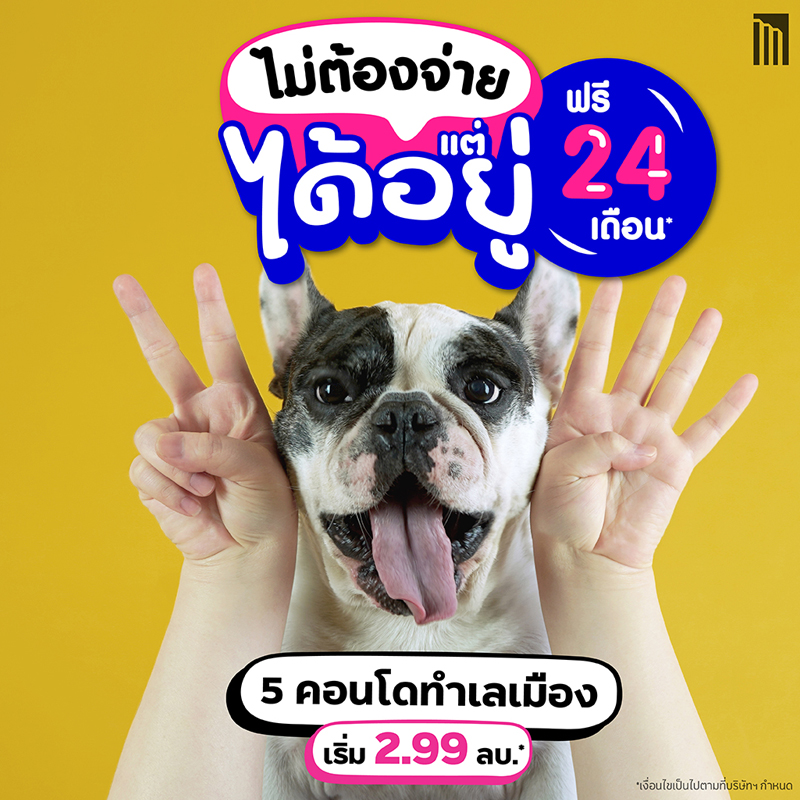 เมเจอร์ ดีเวลลอปเม้นท์ จัดแคมเปญ ไม่ต้องจ่าย แต่ได้อยู่ ฟรี 24 เดือน*