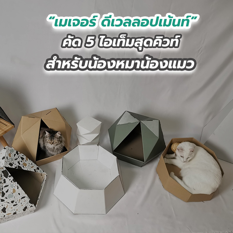 “เมเจอร์ ดีเวลลอปเม้นท์” คัด 5 ไอเท็มสุดคิวท์ สำหรับน้องหมาน้องแมว “เมเจอร์ ดีเวลลอปเม้นท์” คัด 5 ไอเท็มสุดคิวท์ สำหรับน้องหมาน้องแมว