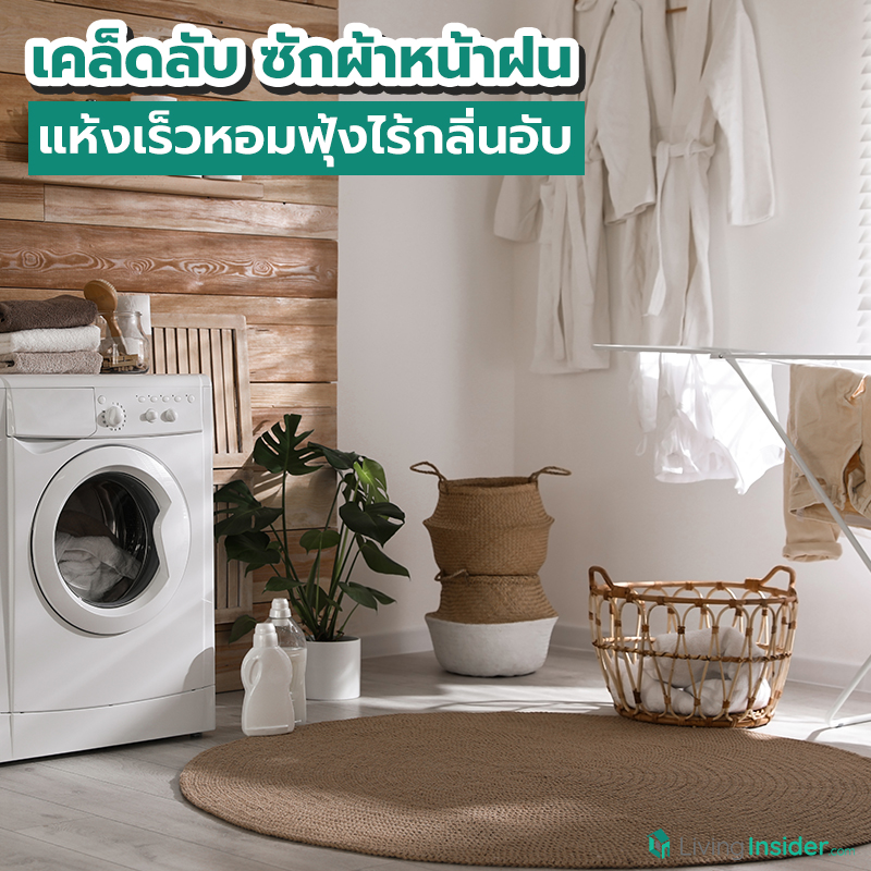 เคล็ดลับซักผ้าหน้าฝน แห้งเร็วหอมฟุ้งไร้กลิ่นอับ เคล็ดลับซักผ้าหน้าฝน แห้งเร็วหอมฟุ้งไร้กลิ่นอับ