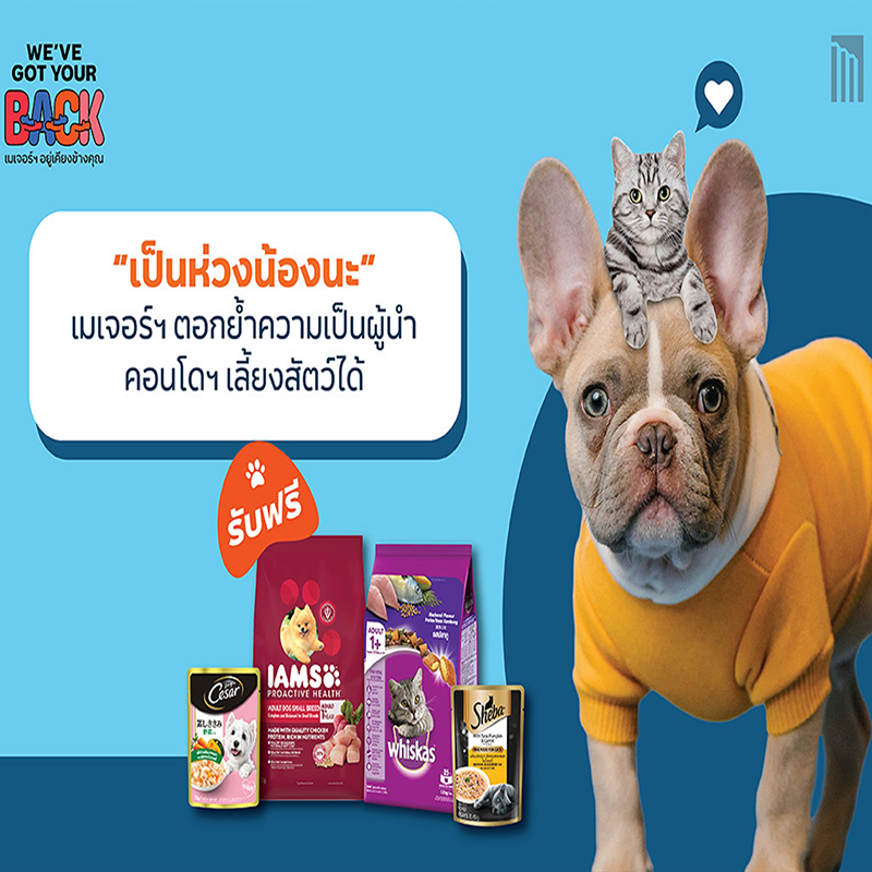 “เมเจอร์ ดีเวลลอปเม้นท์” ห่วงใยดูแลทุกชีวิต รวมถึงสัตว์เลี้ยงในคอนโด “เมเจอร์ ดีเวลลอปเม้นท์” ห่วงใยดูแลทุกชีวิต รวมถึงสัตว์เลี้ยงในคอนโด