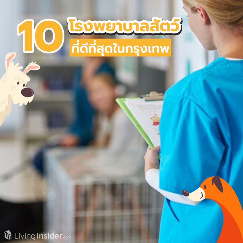 10 โรงพยาบาลสัตว์ที่ดีที่สุดในกรุงเทพ 10 โรงพยาบาลสัตว์ที่ดีที่สุดในกรุงเทพ