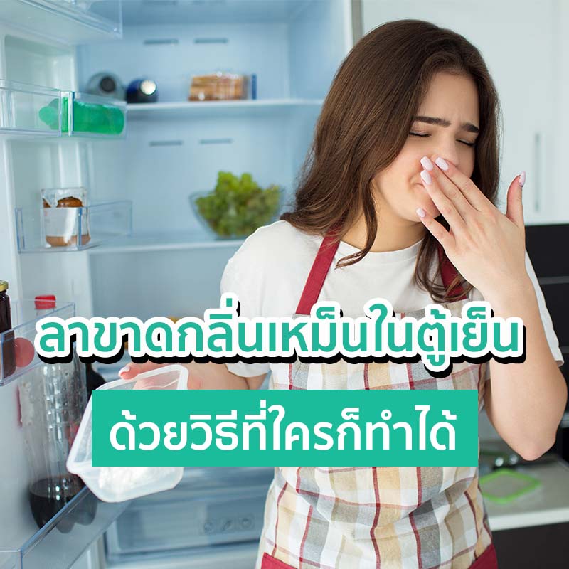 ลาขาดกลิ่นเหม็นในตู้เย็น ด้วยวิธีที่ใครก็ทำได้ ลาขาดกลิ่นเหม็นในตู้เย็น ด้วยวิธีที่ใครก็ทำได้