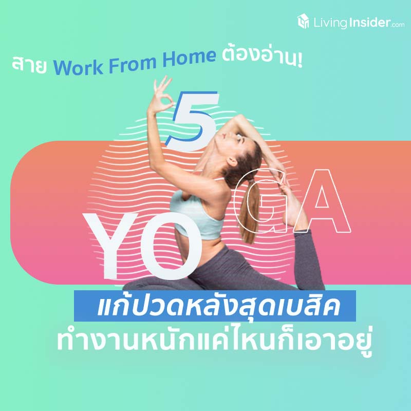 สาย Work From Home ต้องอ่าน! รวม 5 ท่าโยคะ แก้ปวดหลังสุดเบสิคทำงานหนักแค่ไหนก็เอาอยู่ สาย Work From Home ต้องอ่าน! รวม 5 ท่าโยคะ แก้ปวดหลังสุดเบสิคทำงานหนักแค่ไหนก็เอาอยู่