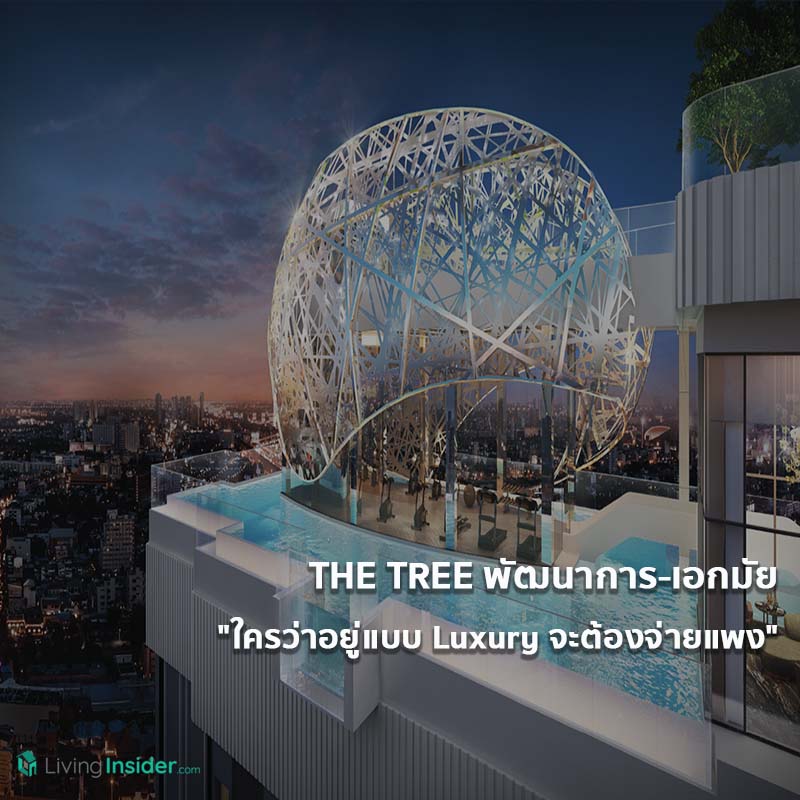 THE TREE พัฒนาการ - เอกมัย "ใครว่าอยู่แบบ Luxury จะต้องจ่ายแพง" พร้อมอยู่แล้ววันนี้ มาดูกันเลย คอนโดใกล้ ARL รามคำแหง พร้อมส่วนกลางจัดเต็ม 3 ชั้น เริ่มต้นเพียง 2.19 ล้าน*เท่านั้น THE TREE พัฒนาการ - เอกมัย "ใครว่าอยู่แบบ Luxury จะต้องจ่ายแพง" พร้อมอยู่แล้ววันนี้ มาดูกันเลย คอนโดใกล้ ARL รามคำแหง พร้อมส่วนกลางจัดเต็ม 3 ชั้น เริ่มต้นเพียง 2.19 ล้าน*เท่านั้น