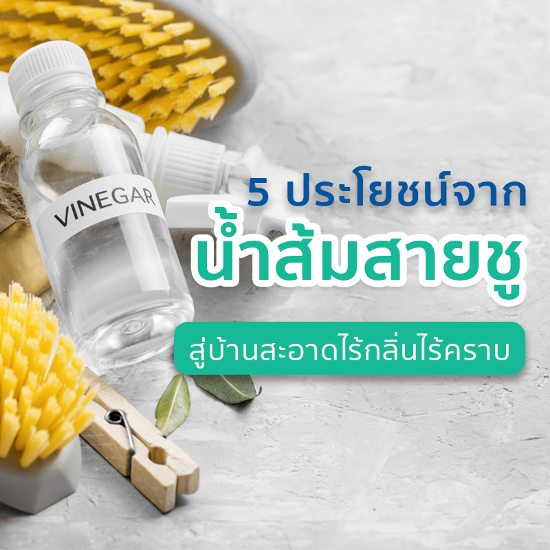 5 ประโยชน์จากน้ำส้มสายชู สู่บ้านสะอาดไร้กลิ่นไร้คราบ 5 ประโยชน์จากน้ำส้มสายชู สู่บ้านสะอาดไร้กลิ่นไร้คราบ