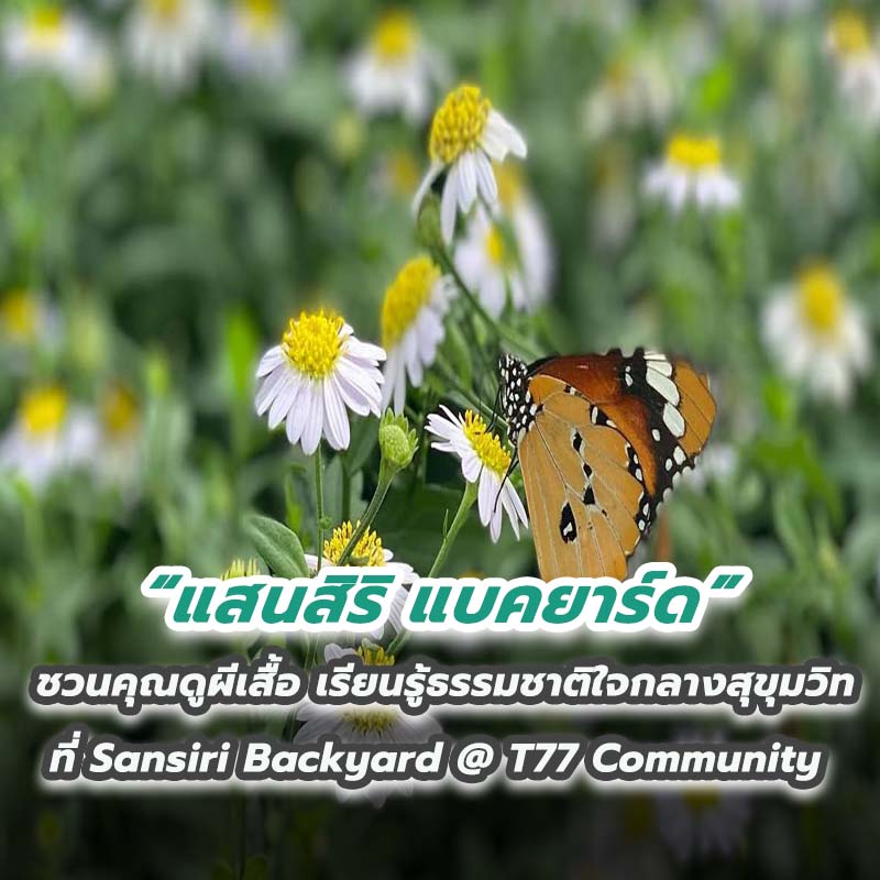 แสนสิริ แบคยาร์ด ชวนคุณดูผีเสื้อ เรียนรู้ธรรมชาติใจกลางสุขุมวิท แสนสิริ แบคยาร์ด ชวนคุณดูผีเสื้อ เรียนรู้ธรรมชาติใจกลางสุขุมวิท