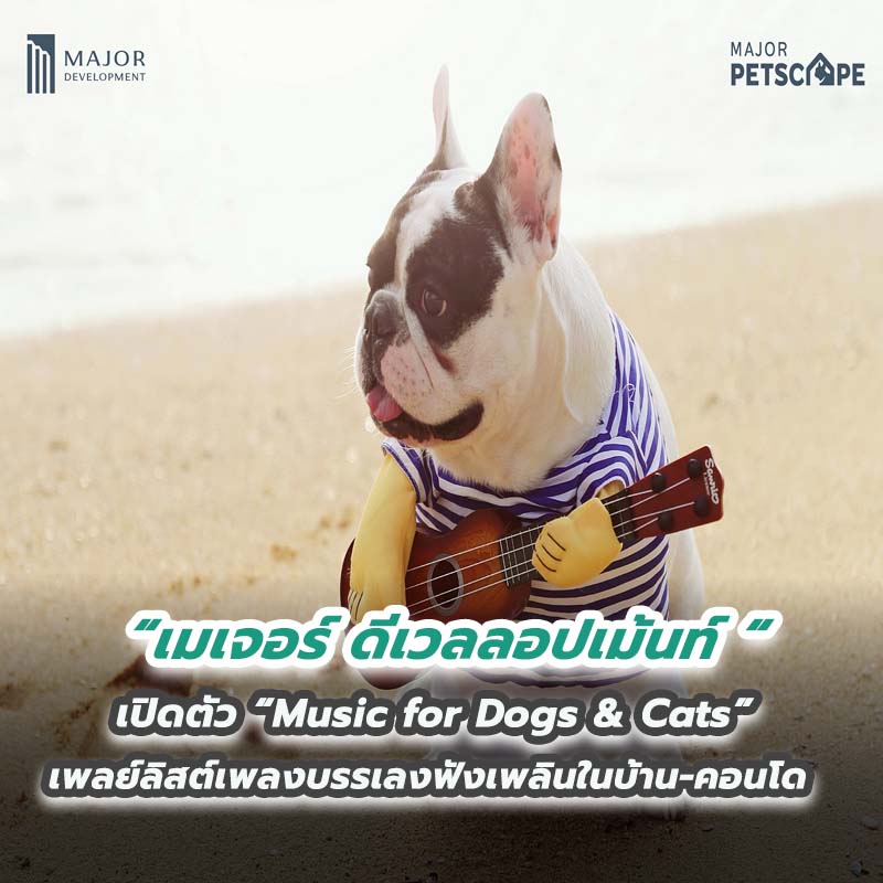 เมเจอร์ ดีเวลลอปเม้นท์ เปิดตัว “Music for Dogs & Cats” เพลย์ลิสต์เพลงบรรเลงฟังเพลินในบ้าน-คอนโด เมเจอร์ ดีเวลลอปเม้นท์ เปิดตัว “Music for Dogs & Cats” เพลย์ลิสต์เพลงบรรเลงฟังเพลินในบ้าน-คอนโด