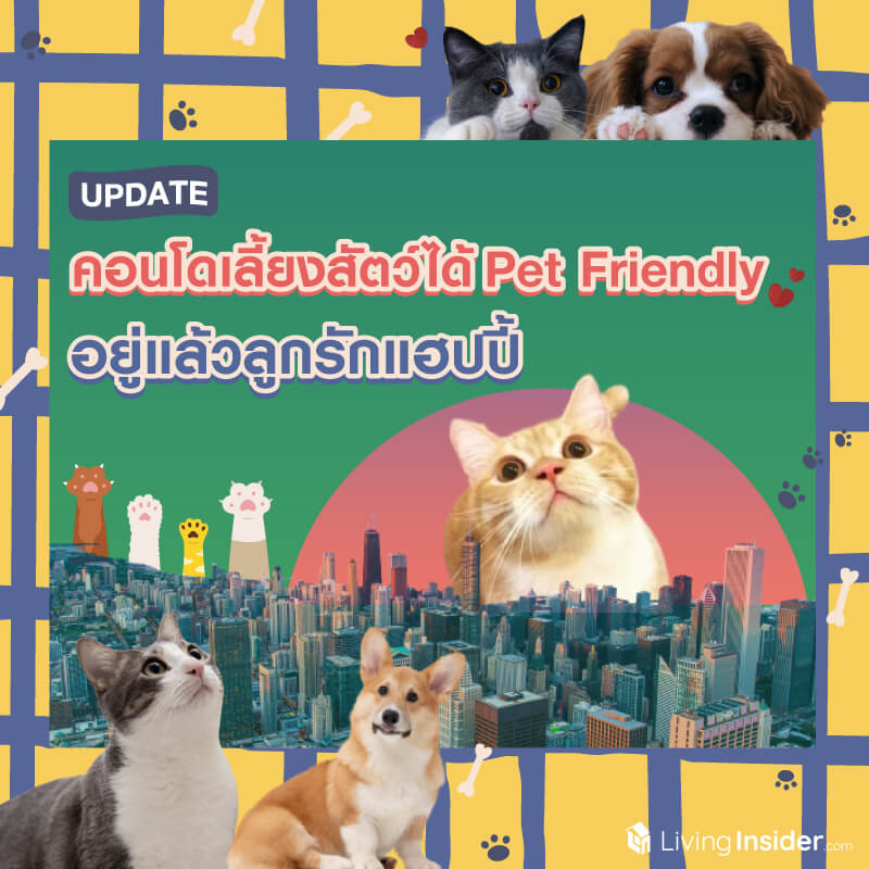 UPDATE! คอนโดเลี้ยงสัตว์ได้ Pet Friendly ที่อยู่แล้วลูกรักแฮปปี้ UPDATE! คอนโดเลี้ยงสัตว์ได้ Pet Friendly ที่อยู่แล้วลูกรักแฮปปี้