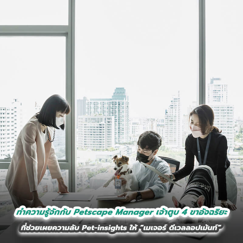 ทำความรู้จักกับ Petscape Manager เจ้าตูบ 4 ขาอัจฉริยะ ที่ช่วยเผยความลับ Pet-insights ให้ “เมเจอร์ ดีเวลลอปเม้นท์” นั่งแท่นเบอร์ 1 คอนโดเลี้ยงสัตว์ได้ทุกโครงการ ทำความรู้จักกับ Petscape Manager เจ้าตูบ 4 ขาอัจฉริยะ ที่ช่วยเผยความลับ Pet-insights ให้ “เมเจอร์ ดีเวลลอปเม้นท์” นั่งแท่นเบอร์ 1 คอนโดเลี้ยงสัตว์ได้ทุกโครงการ