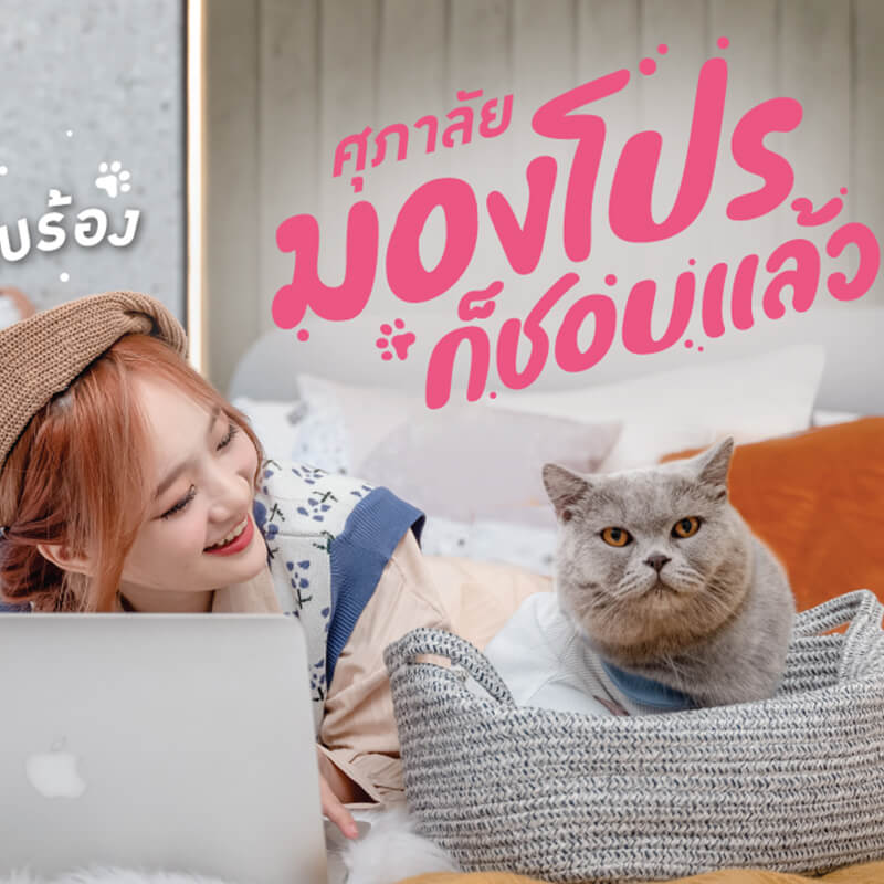 ศุภาลัยปล่อยหมัดเด็ด!! ฮุคสุดท้าย “มองโปรก็ชอบแล้ว แมวโปรก็ชอบร้อง” ศุภาลัยปล่อยหมัดเด็ด!! ฮุคสุดท้าย “มองโปรก็ชอบแล้ว แมวโปรก็ชอบร้อง”