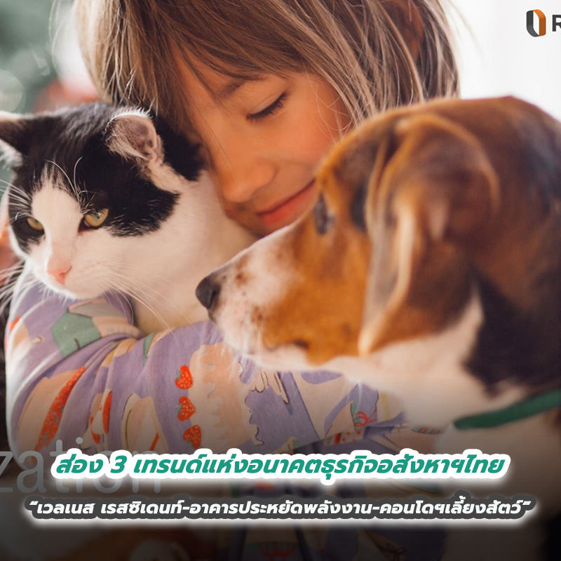 ส่อง 3 เทรนด์แห่งอนาคตธุรกิจอสังหาฯไทย “เวลเนส เรสซิเดนท์-อาคารประหยัดพลังงาน-คอนโดฯเลี้ยงสัตว์” ส่อง 3 เทรนด์แห่งอนาคตธุรกิจอสังหาฯไทย “เวลเนส เรสซิเดนท์-อาคารประหยัดพลังงาน-คอนโดฯเลี้ยงสัตว์”