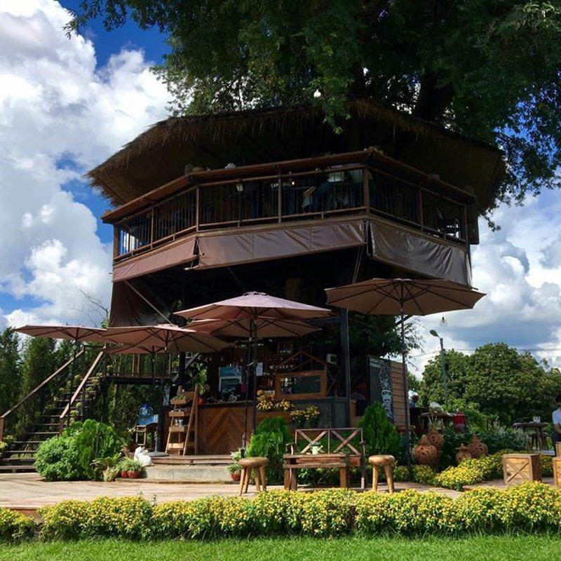 เก๊ามะขาม คอฟฟี่ เชียงใหม่ ร้านกาแฟบนต้นไม้ วิว 360 องศา เก๊ามะขาม คอฟฟี่ เชียงใหม่ ร้านกาแฟบนต้นไม้ วิว 360 องศา