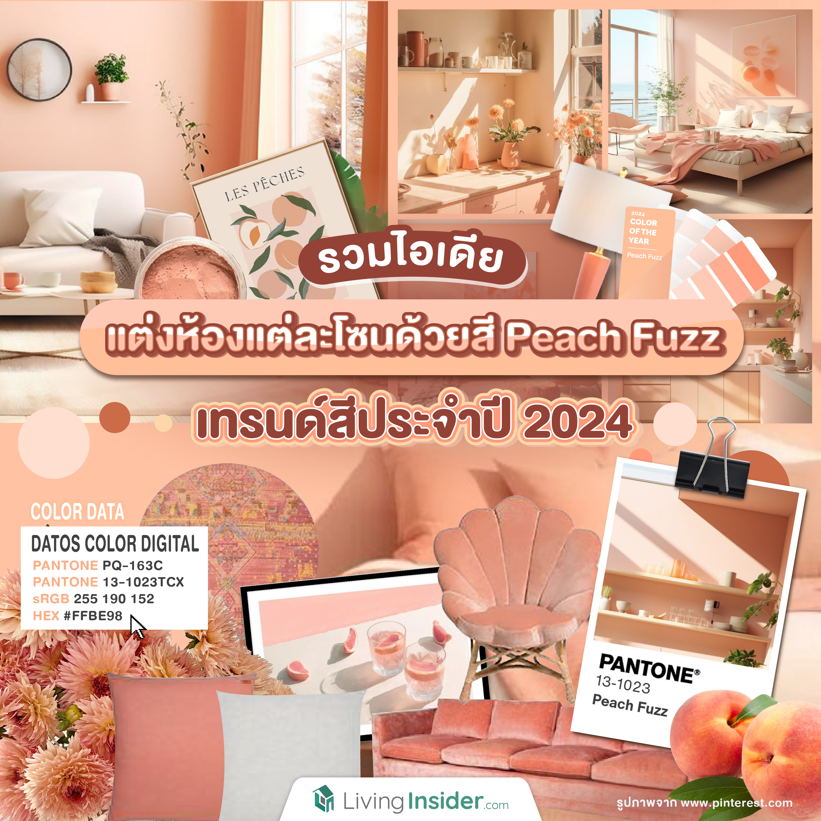 รวมไอเดียแต่งห้องแต่ละโซนด้วยสี Peach Fuzz เทรนด์สีประจำปี 2024 รวมไอเดียแต่งห้องแต่ละโซนด้วยสี Peach Fuzz เทรนด์สีประจำปี 2024