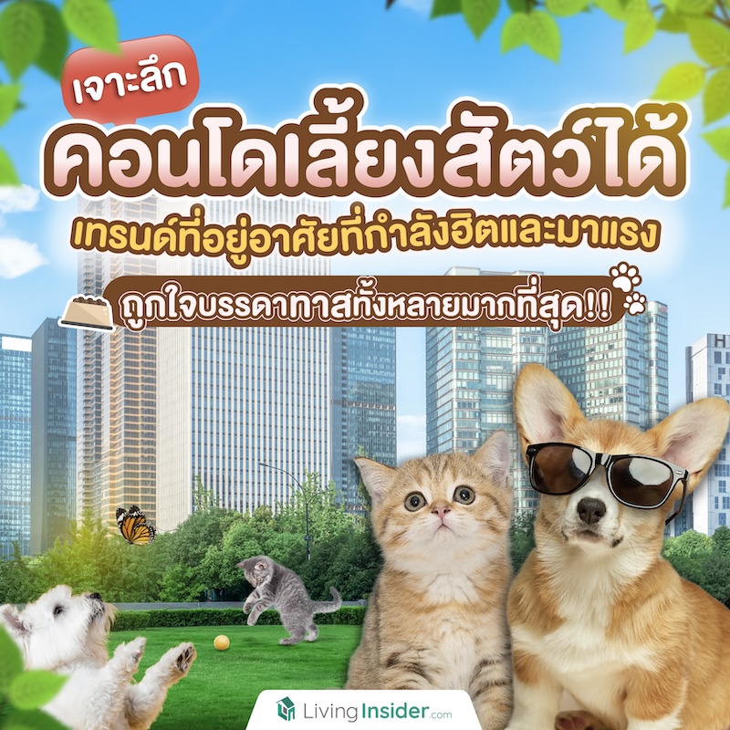 เจาะลึก คอนโดเลี้ยงสัตว์ได้ เทรนด์ที่อยู่อาศัยที่กำลังฮิตและมาแรง ถูกใจบรรดาทาสทั้งหลายมากที่สุด!! เจาะลึก คอนโดเลี้ยงสัตว์ได้ เทรนด์ที่อยู่อาศัยที่กำลังฮิตและมาแรง ถูกใจบรรดาทาสทั้งหลายมากที่สุด!!