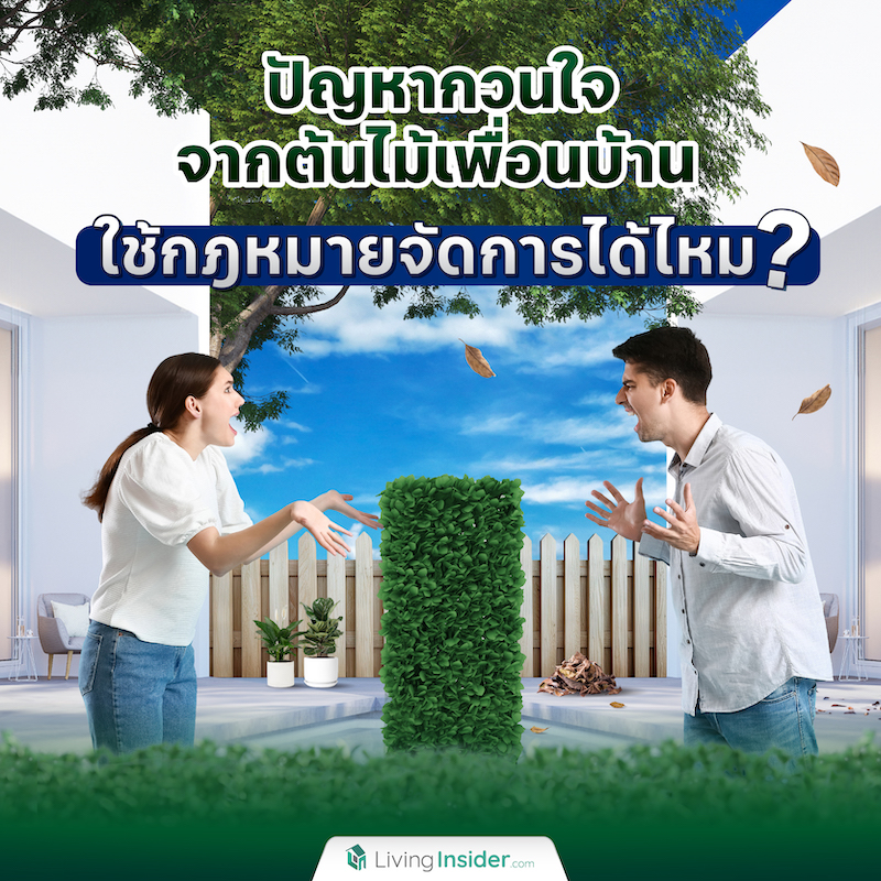 ปัญหากวนใจจากต้นไม้เพื่อนบ้าน ใช้กฎหมายจัดการได้ไหม? ปัญหากวนใจจากต้นไม้เพื่อนบ้าน ใช้กฎหมายจัดการได้ไหม?