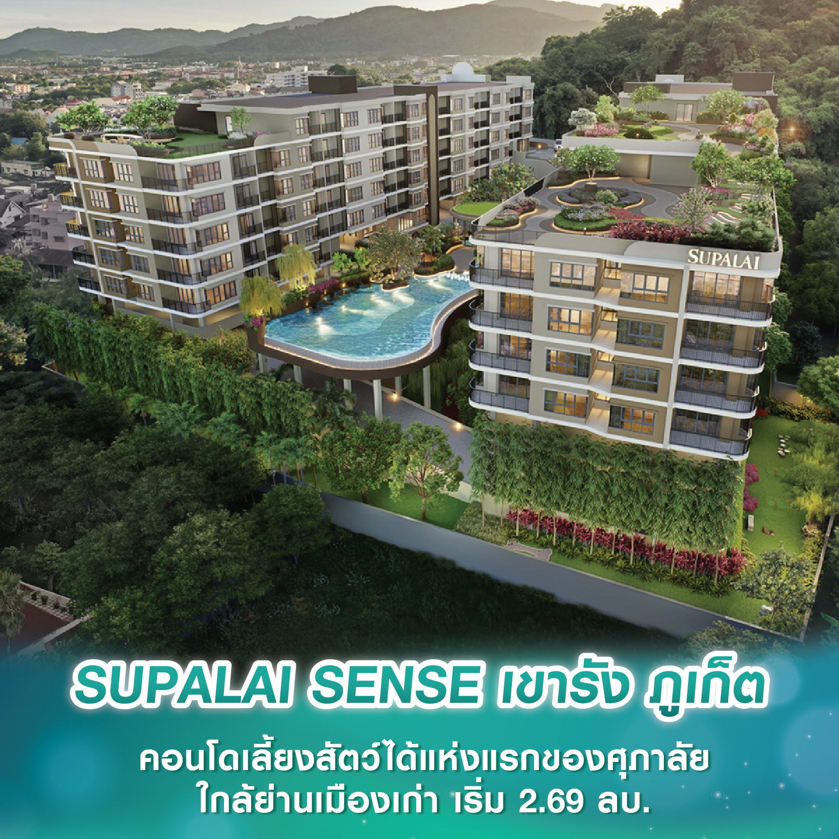 SUPALAI SENSE เขารัง ภูเก็ต คอนโดเลี้ยงสัตว์ได้แห่งแรกของศุภาลัย ห้องใหญ่ แต่งครบ ใกล้ย่านเมืองเก่า เริ่มต้น 2.69 ล้านบาท SUPALAI SENSE เขารัง ภูเก็ต คอนโดเลี้ยงสัตว์ได้แห่งแรกของศุภาลัย ห้องใหญ่ แต่งครบ ใกล้ย่านเมืองเก่า เริ่มต้น 2.69 ล้านบาท